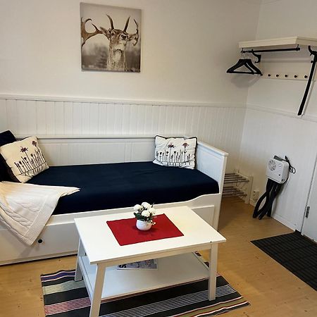Vasacenter B&B Transtrand Zewnętrze zdjęcie